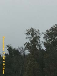 IMG_0408