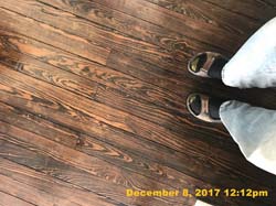 IMG_0487
