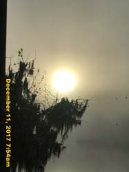 IMG_0601