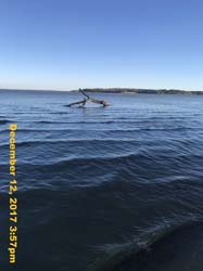 IMG_0625