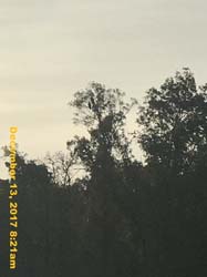 IMG_0647