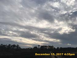 IMG_0774