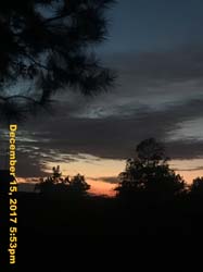 IMG_0795