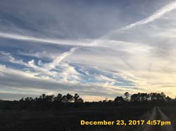 IMG_1075