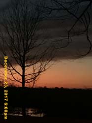 IMG_1095