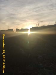 IMG_1203