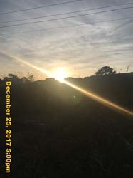 IMG_1208