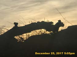 IMG_1225