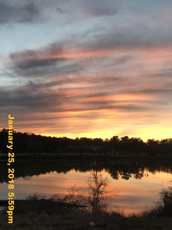 IMG_2230