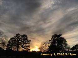 IMG_1398