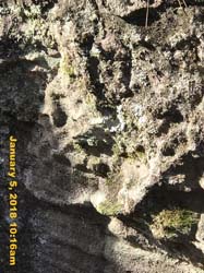 IMG_1580