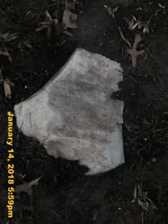 IMG_1840