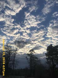 IMG_1881