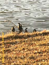 IMG_1925