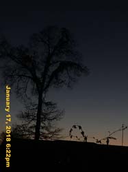 IMG_1944