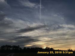 IMG_2217