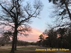 IMG_2229