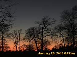 IMG_2351