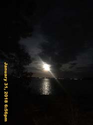 IMG_2478