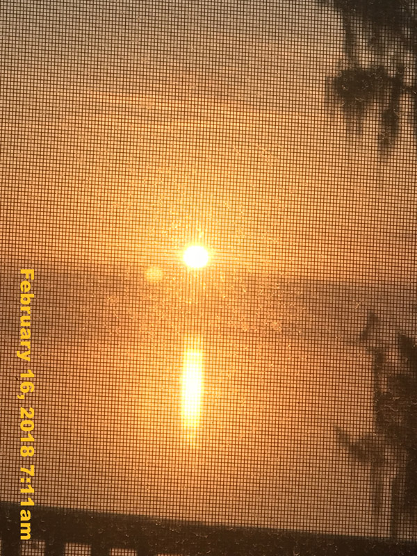 IMG_2875