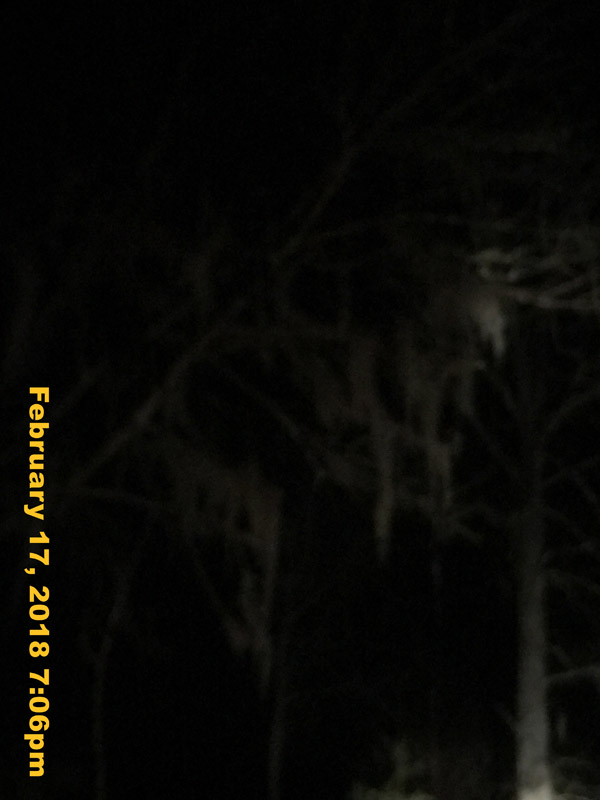 IMG_2915