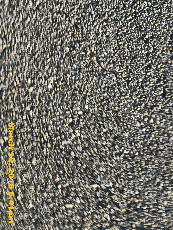 IMG_3687
