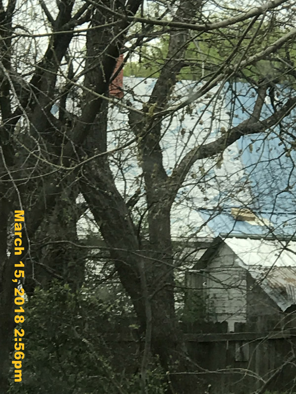 IMG_3833