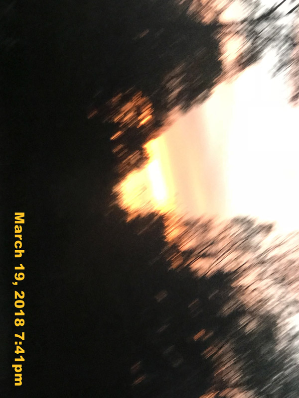 IMG_3974
