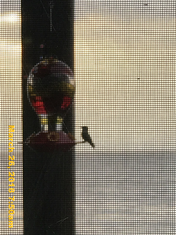 IMG_4173