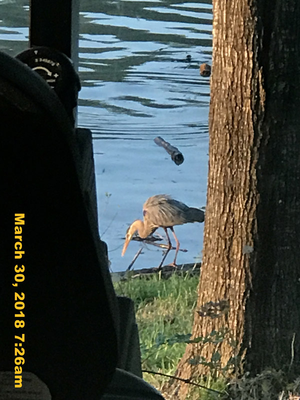 IMG_4342