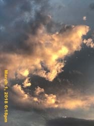 IMG_3205
