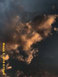 IMG_3207