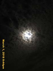 IMG_3241