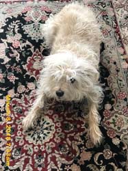 IMG_3450