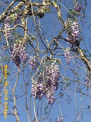 IMG_3857