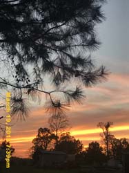 IMG_3973