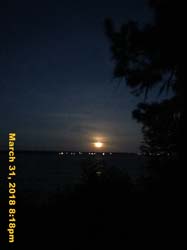IMG_4430