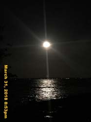 IMG_4440