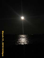 IMG_4441