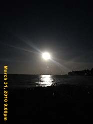 IMG_4442