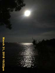 IMG_4446