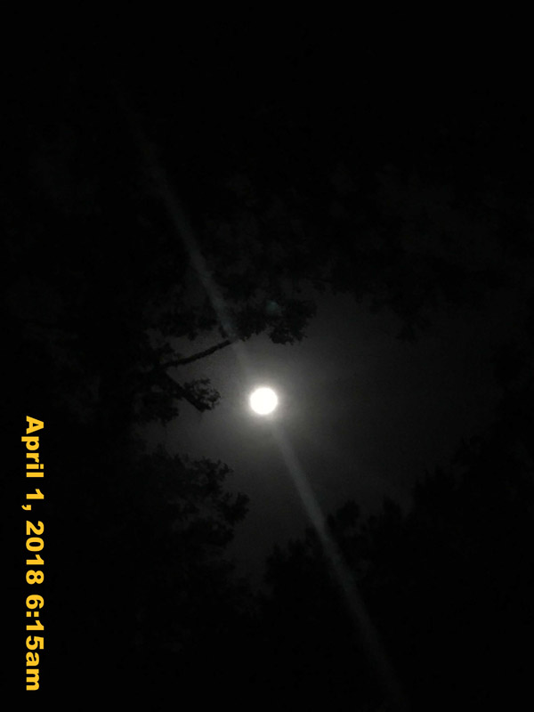 IMG_4451
