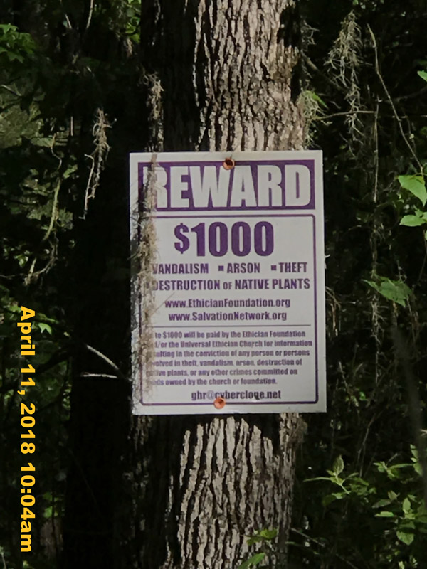 IMG_4827