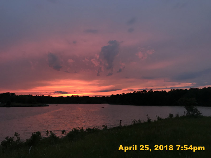 IMG_5456