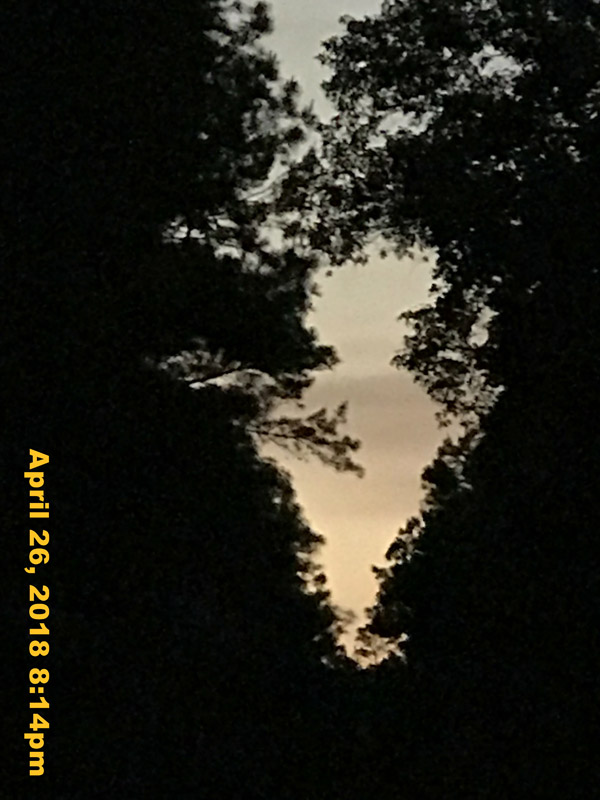 IMG_5495