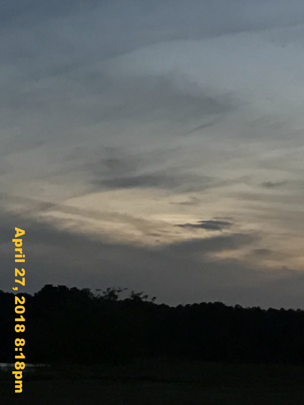 IMG_5545