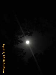 IMG_4451
