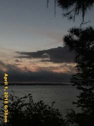 IMG_4452