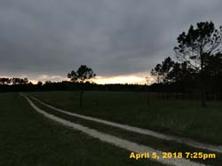 IMG_4668