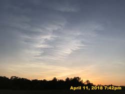 IMG_4845